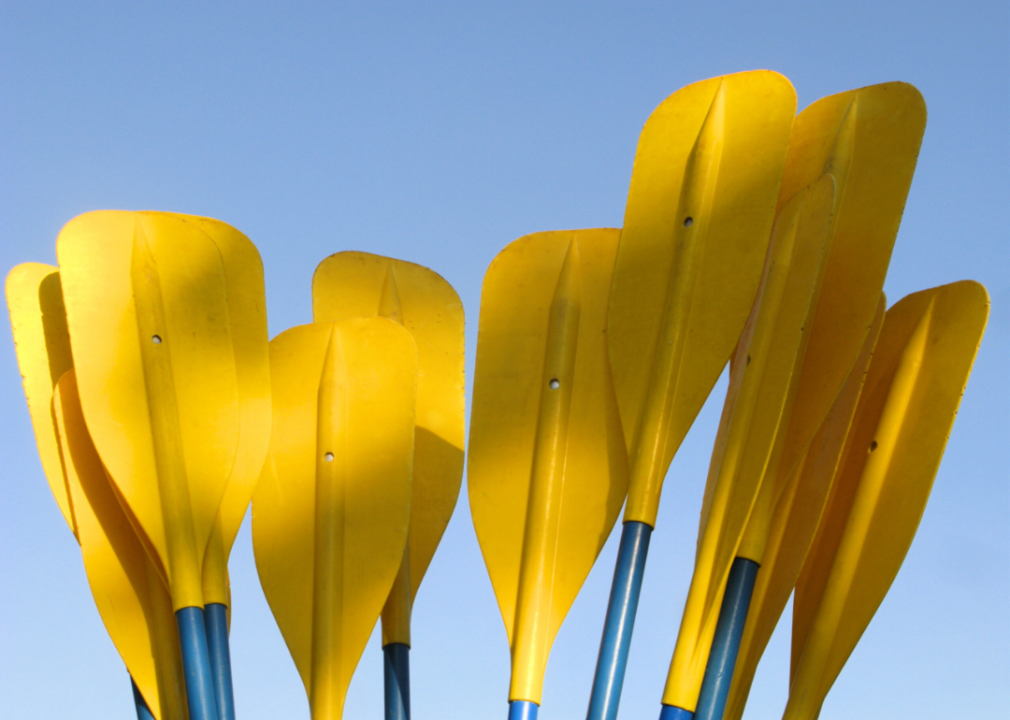 collection of yellow oars